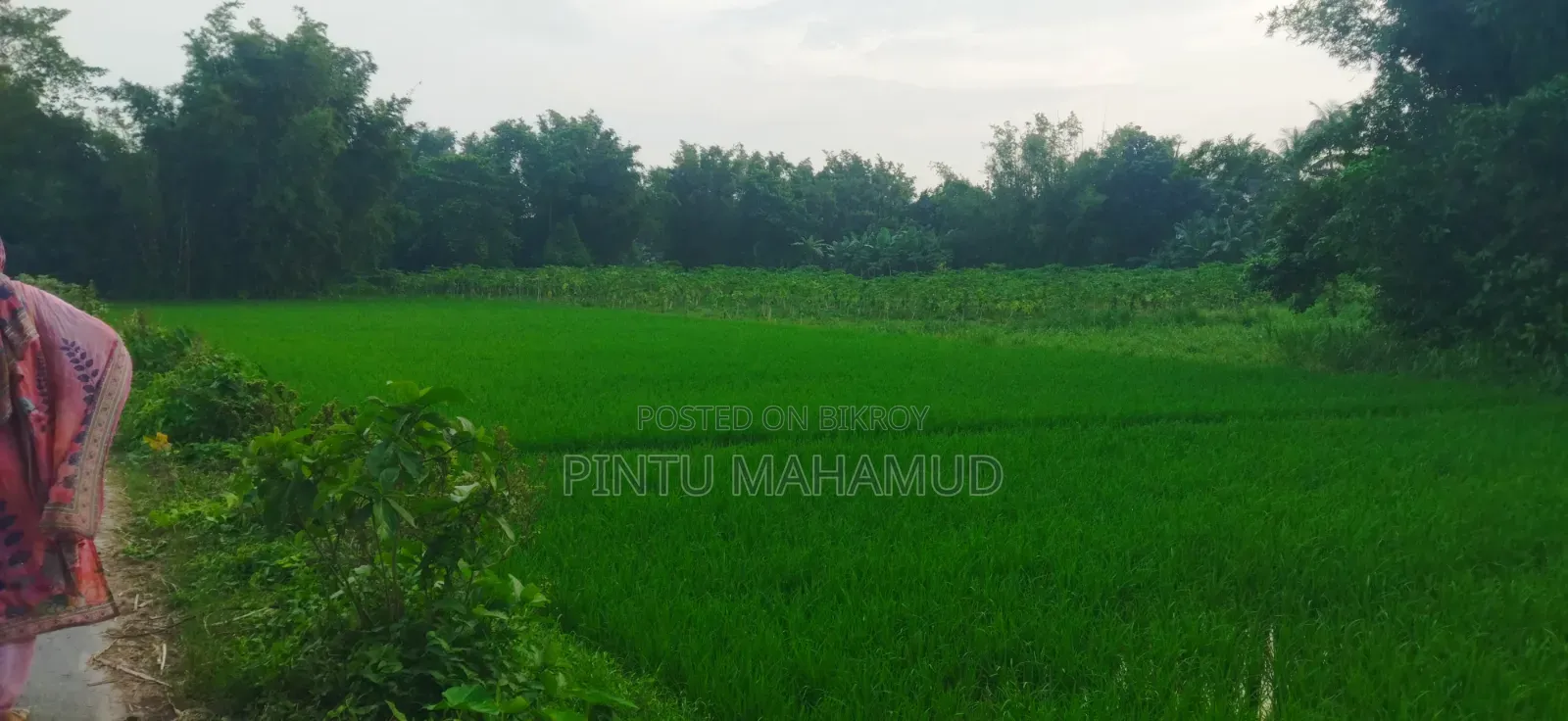 Land for Rent