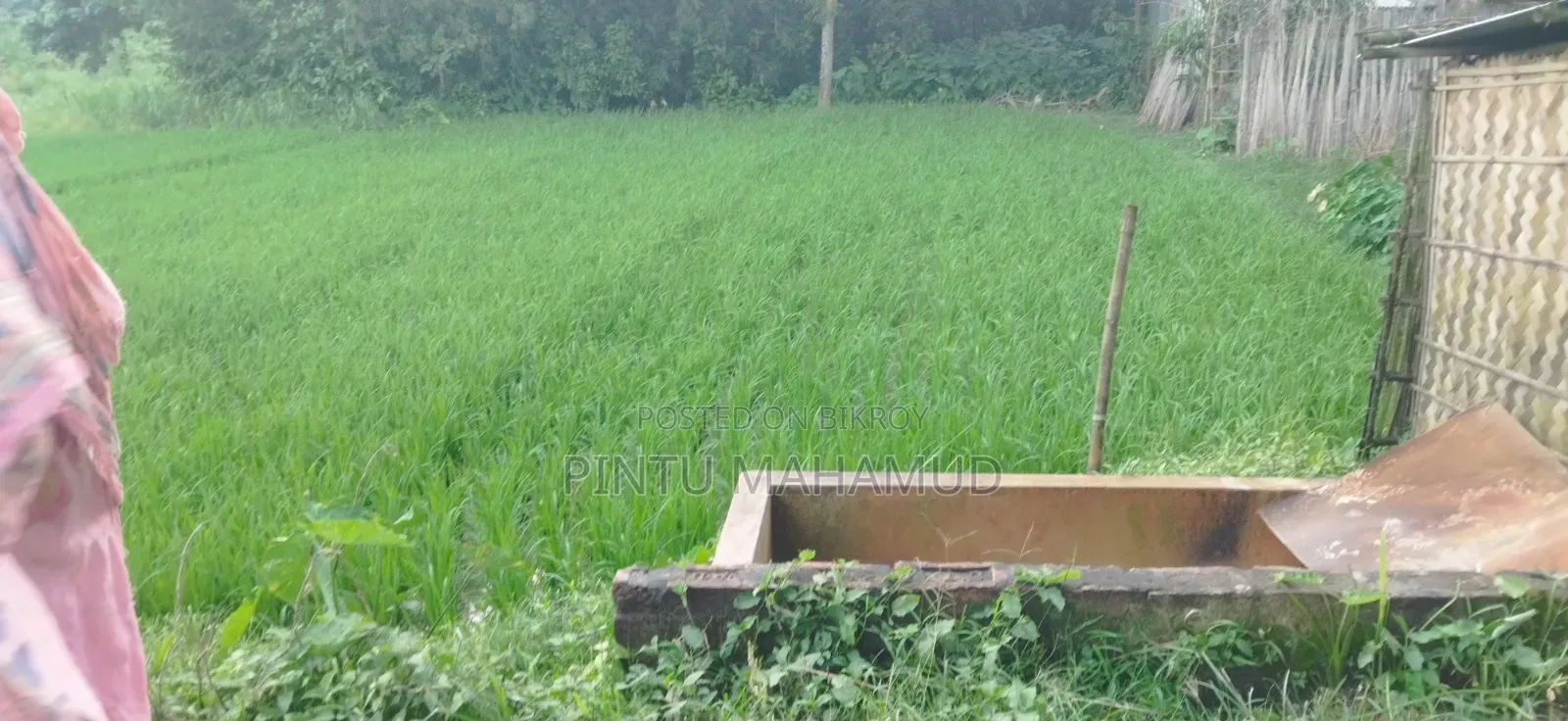 Land for Rent