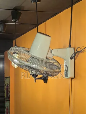 ওয়াল মাউন্ট ফ্যান (ওয়ায়েন্টি সহ)