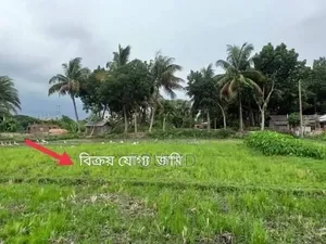 টার্মিনাল এর পেছনে ৩ টি প্লট বিক্রয় হবে