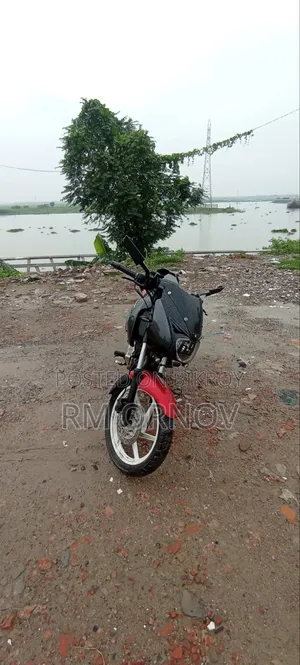 Bajaj Pulsar 150 2009 Red