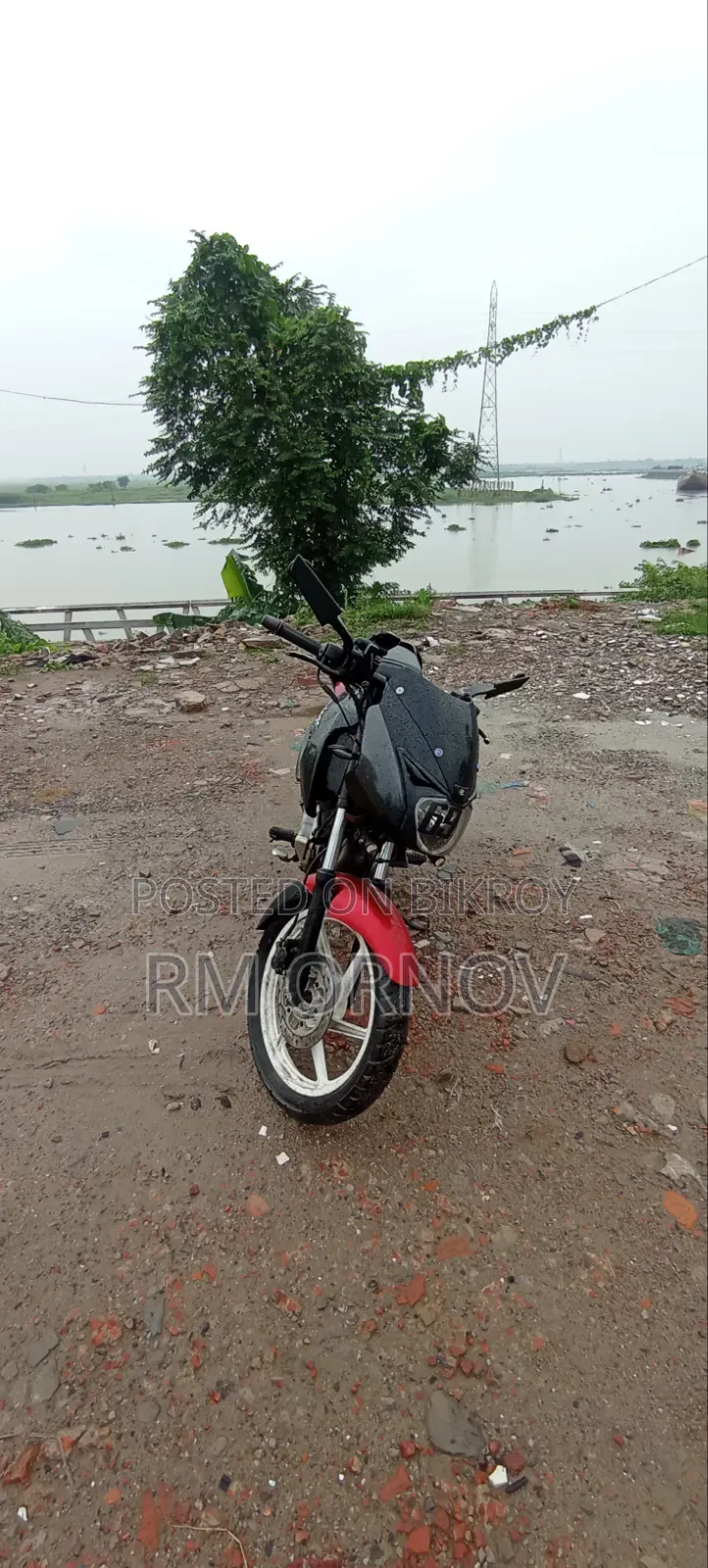 Bajaj Pulsar 150 2009 Red