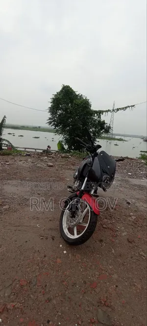 Bajaj Pulsar 150 2009 Red