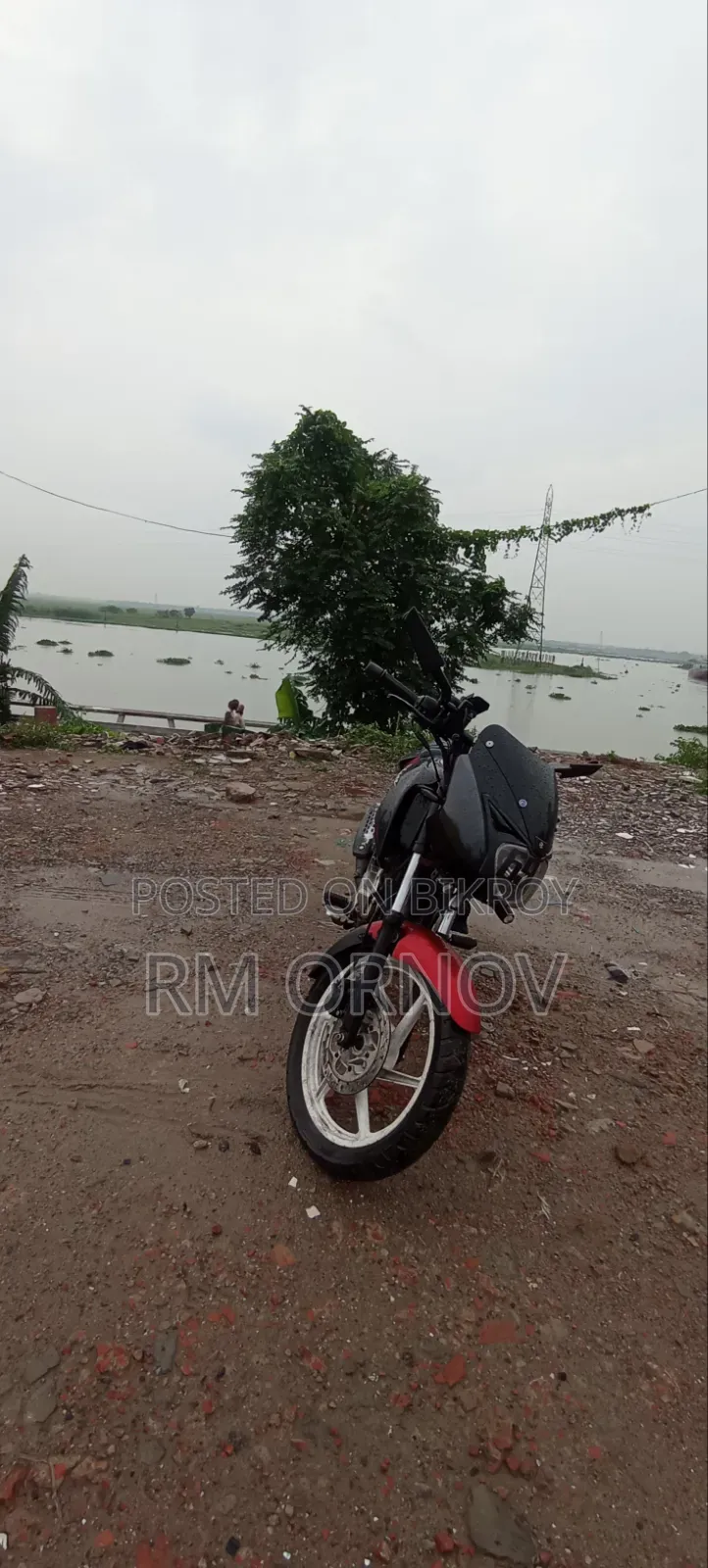 Bajaj Pulsar 150 2009 Red