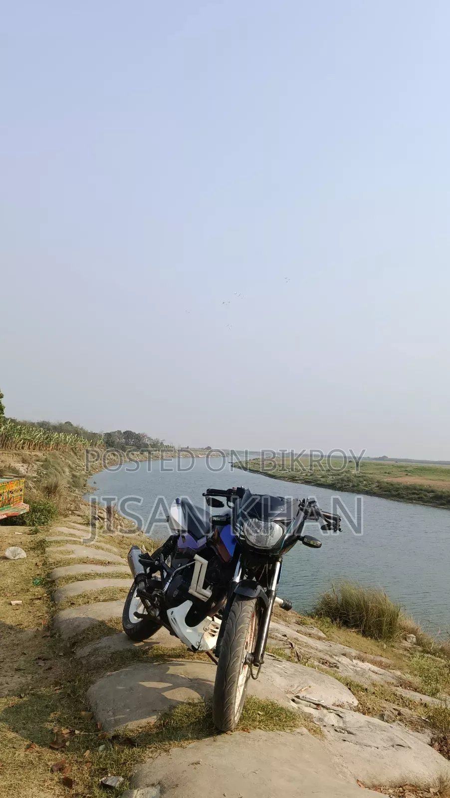 Bajaj Pulsar 150 2008 Black
