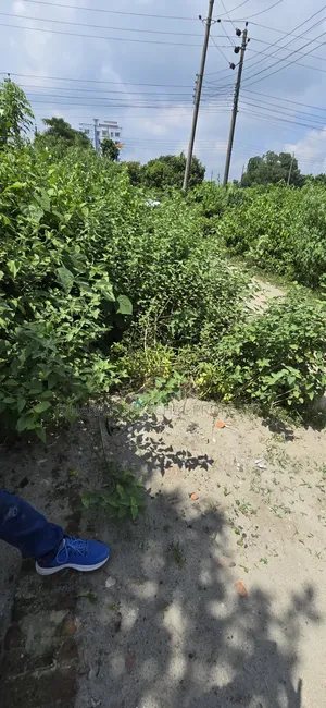 পূর্বাচল সেক্টর -১৪ বেসরকারি চাকরিজীবী ক্যাটাগারি ৭.৫ কাঠা প্লট