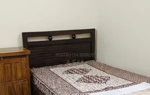 4 Feet by 7 Feet Bed