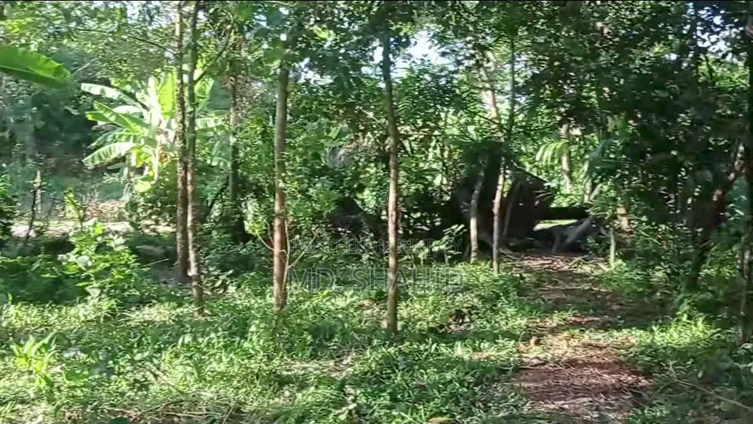 12 decimal land with house