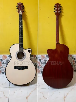 ÎNSHÃ / GUITãR