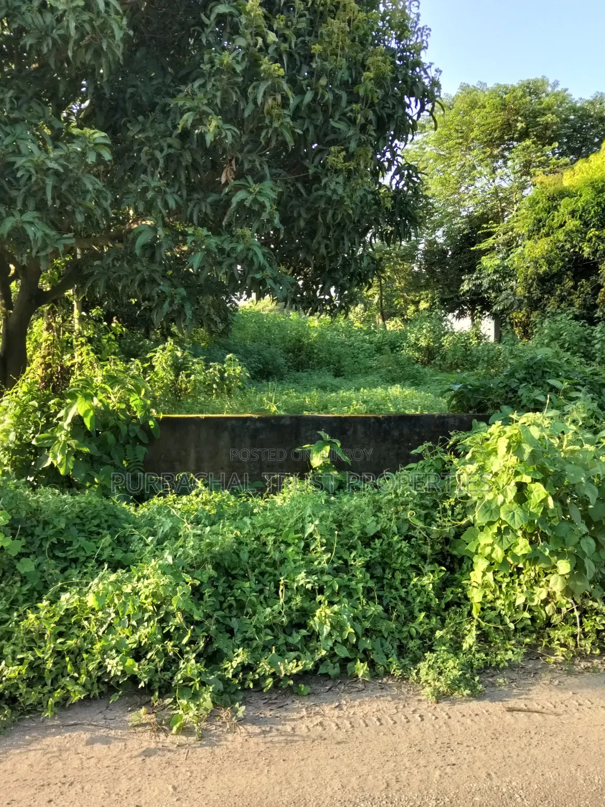 পূর্বাচল ১৩ নং সেক্টরে ৩ কাঠা প্লট বিক্রি
