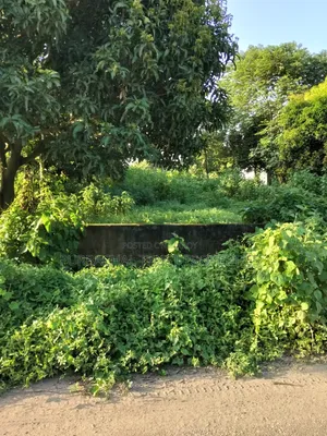 পূর্বাচল ১৩ নং সেক্টরে ৩ কাঠা প্লট বিক্রি