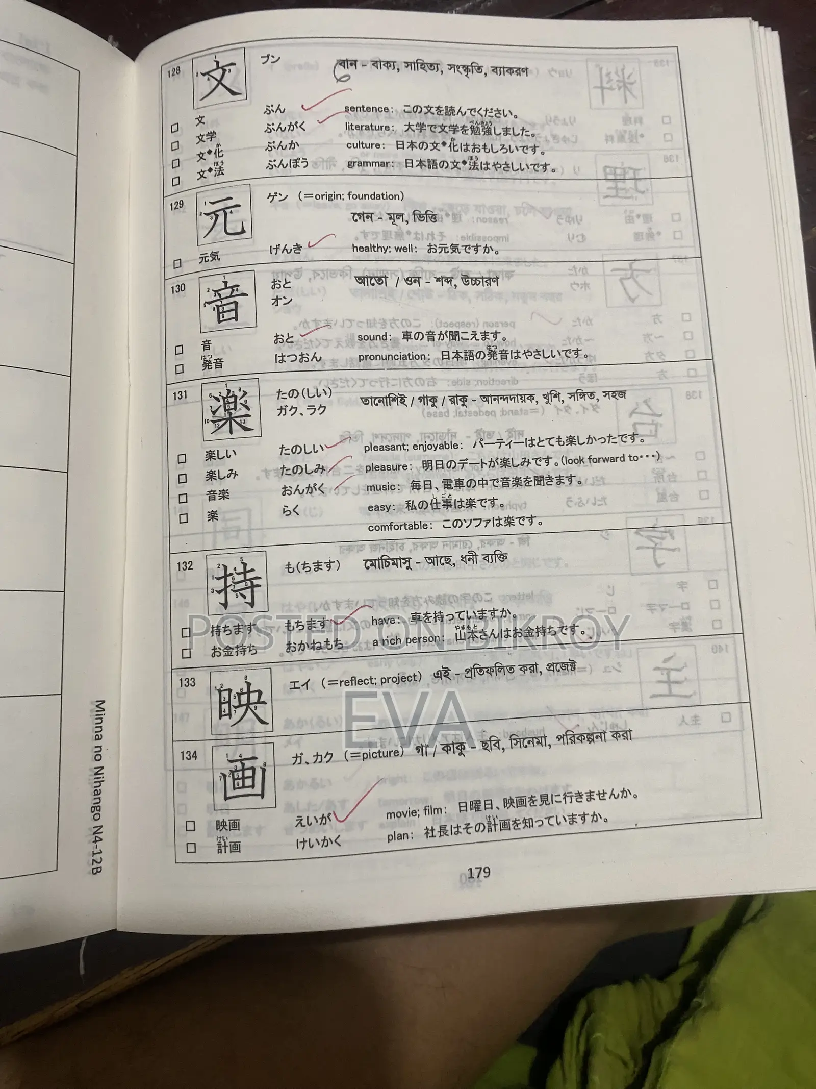 Japanese N4 Boi