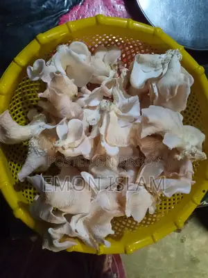 Mushroom for Sell