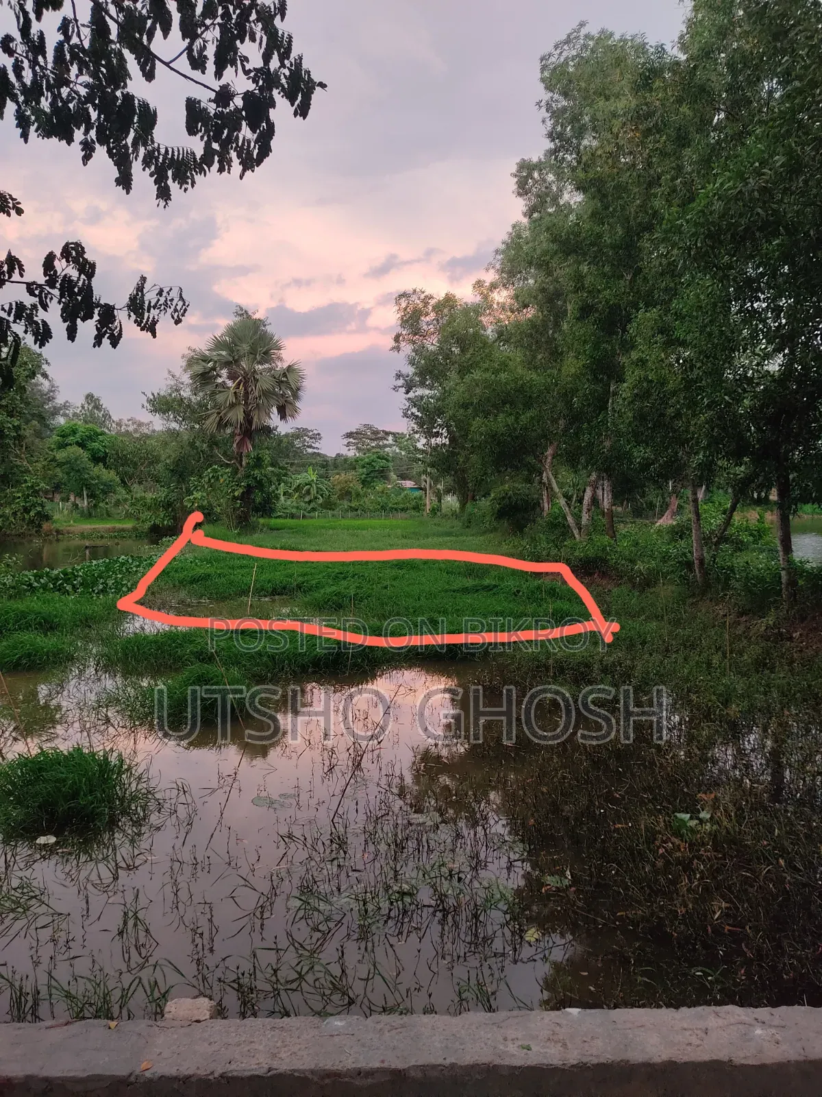 🚨 জরুরি ভিত্তিতে জমি বিক্রয় করা হবে।