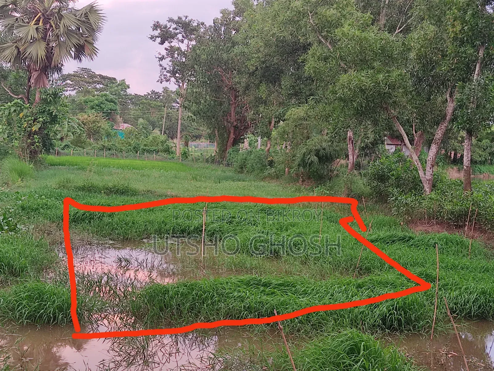 🚨 জরুরি ভিত্তিতে জমি বিক্রয় করা হবে।