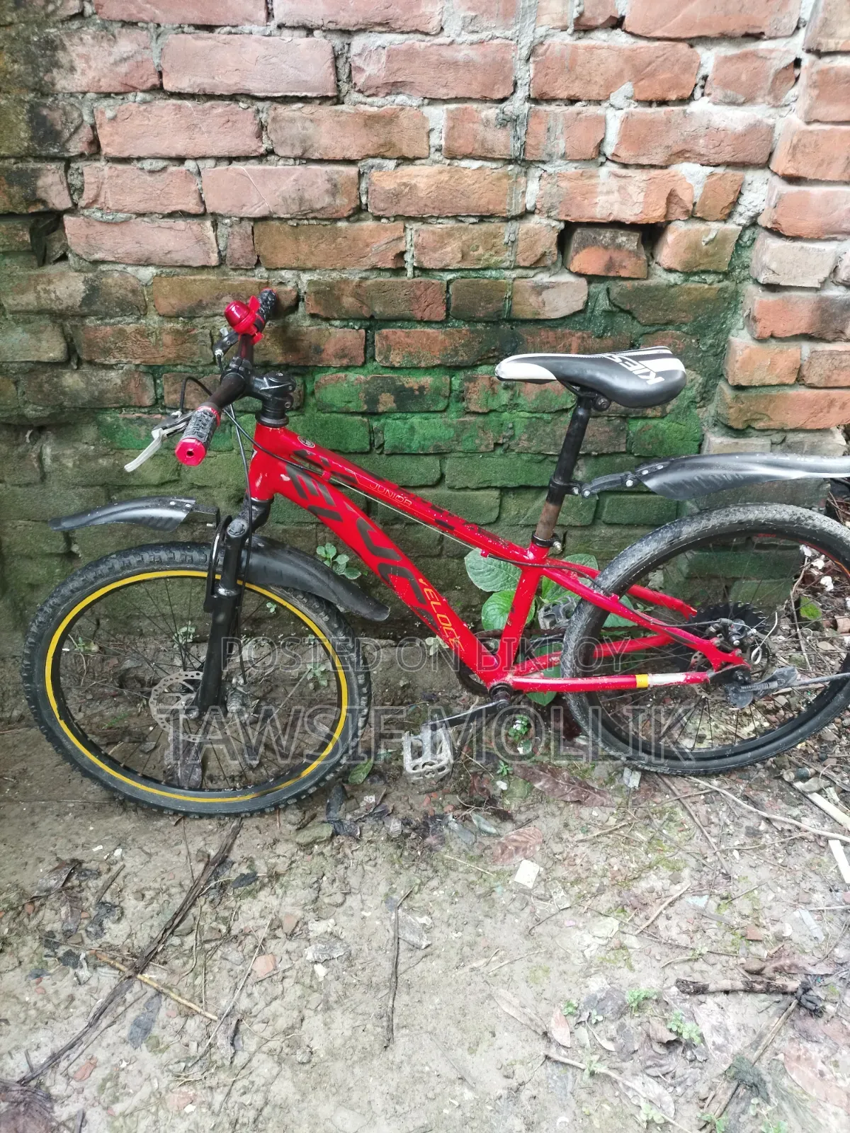Used Bicycle