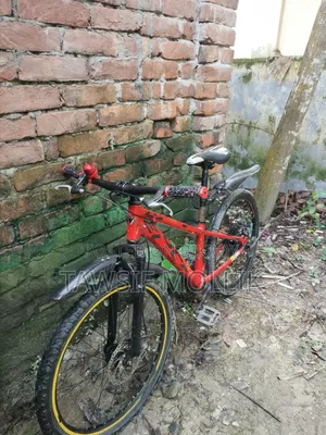 Used Bicycle