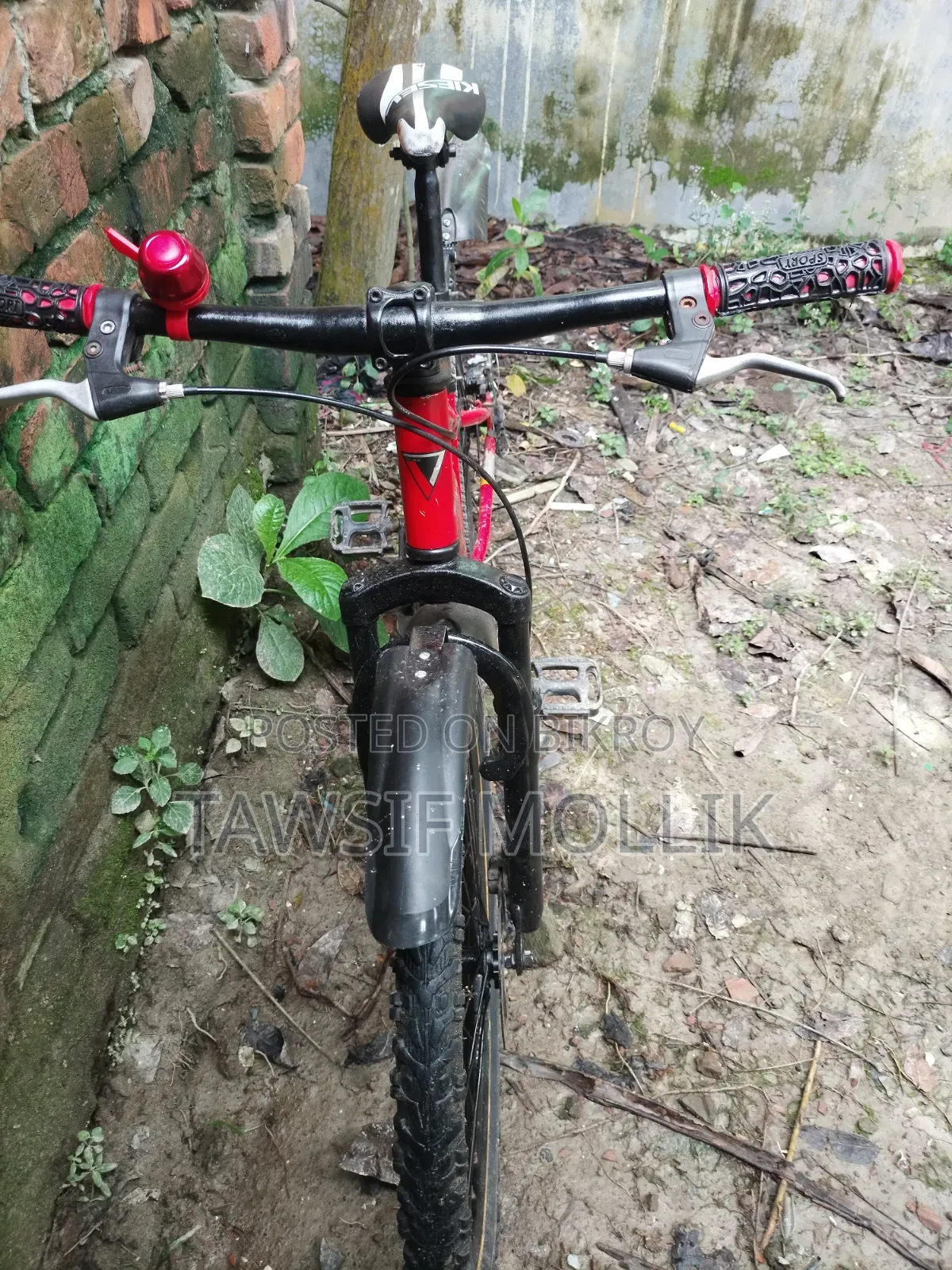 Used Bicycle