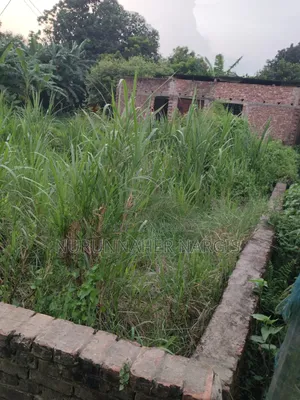 Buy Genuine Land at Affordable Prices Directly from the Owner