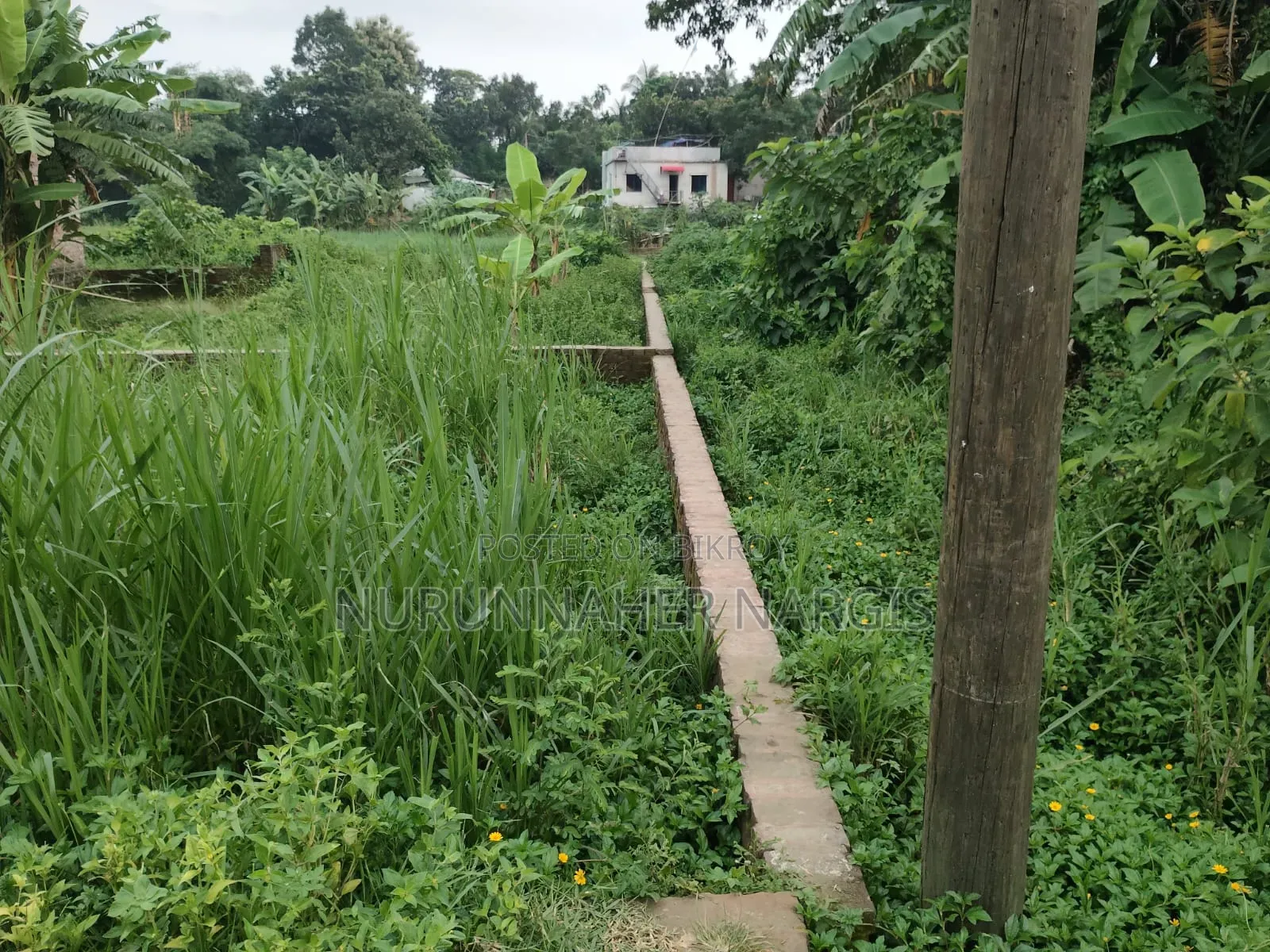 Buy Genuine Land at Affordable Prices Directly from the Owner