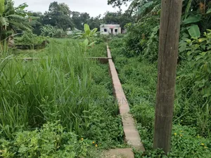 Buy Genuine Land at Affordable Prices Directly from the Owner