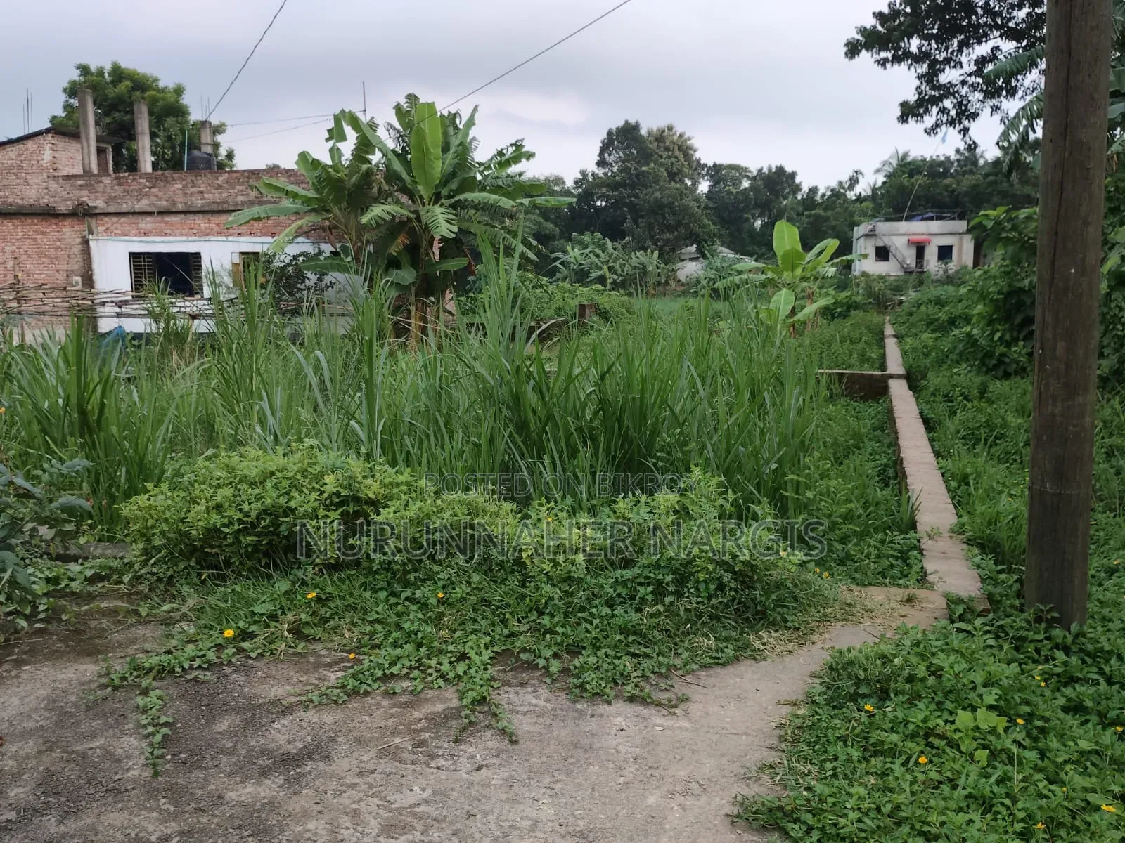 Buy Genuine Land at Affordable Prices Directly from the Owner