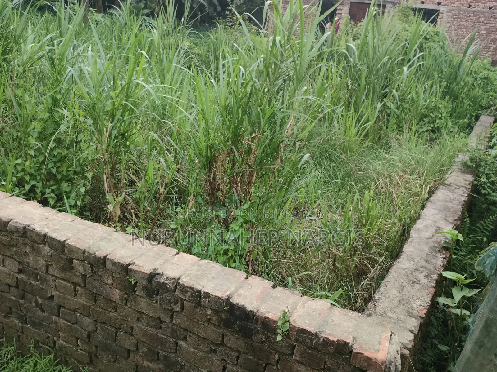 Buy Genuine Land at Affordable Prices Directly from the Owner