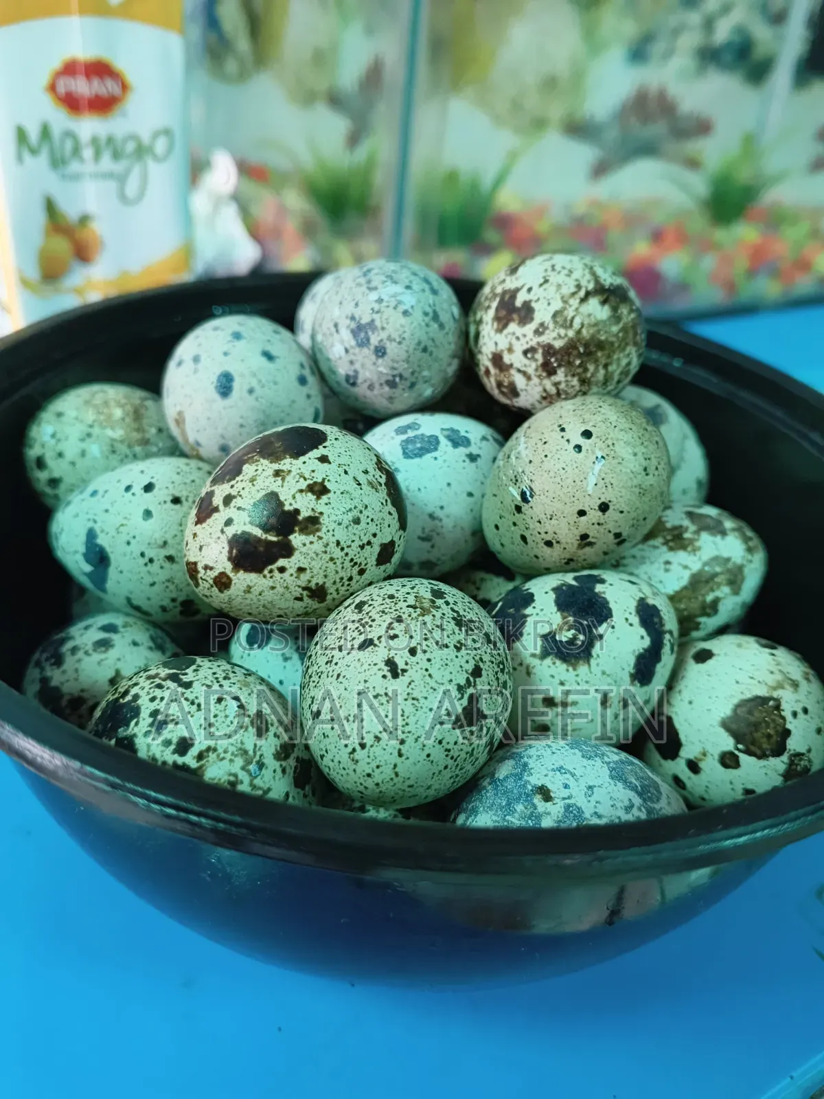 Quail Eggs