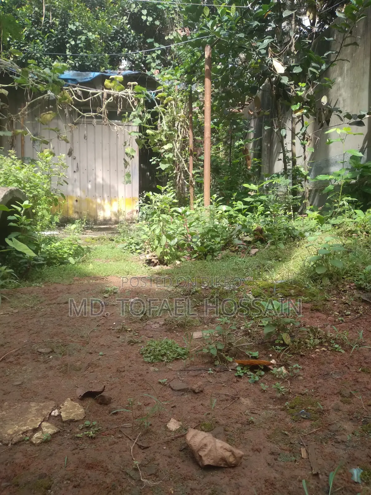 বারিধারা সংলগ্ন ২৫ কাঠা নিষ্কণ্টক জমি বিক্রয় হইবে।