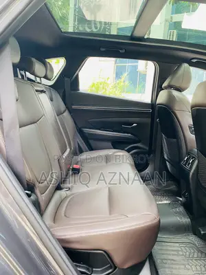Hyundai Tucson Limited 2023 Gray