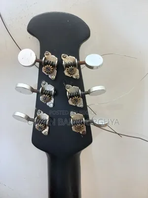 BD Custom Guitar by MUSIC PLUS
