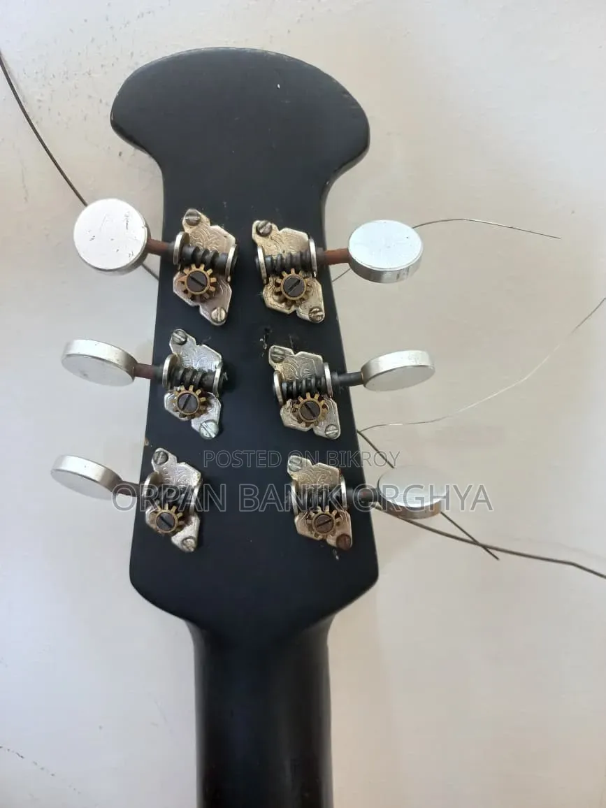 BD Custom Guitar by MUSIC PLUS