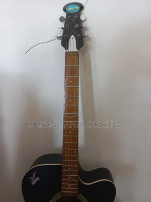 BD Custom Guitar by MUSIC PLUS
