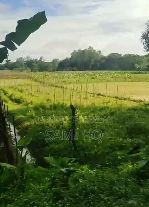 Land at Sitakunda