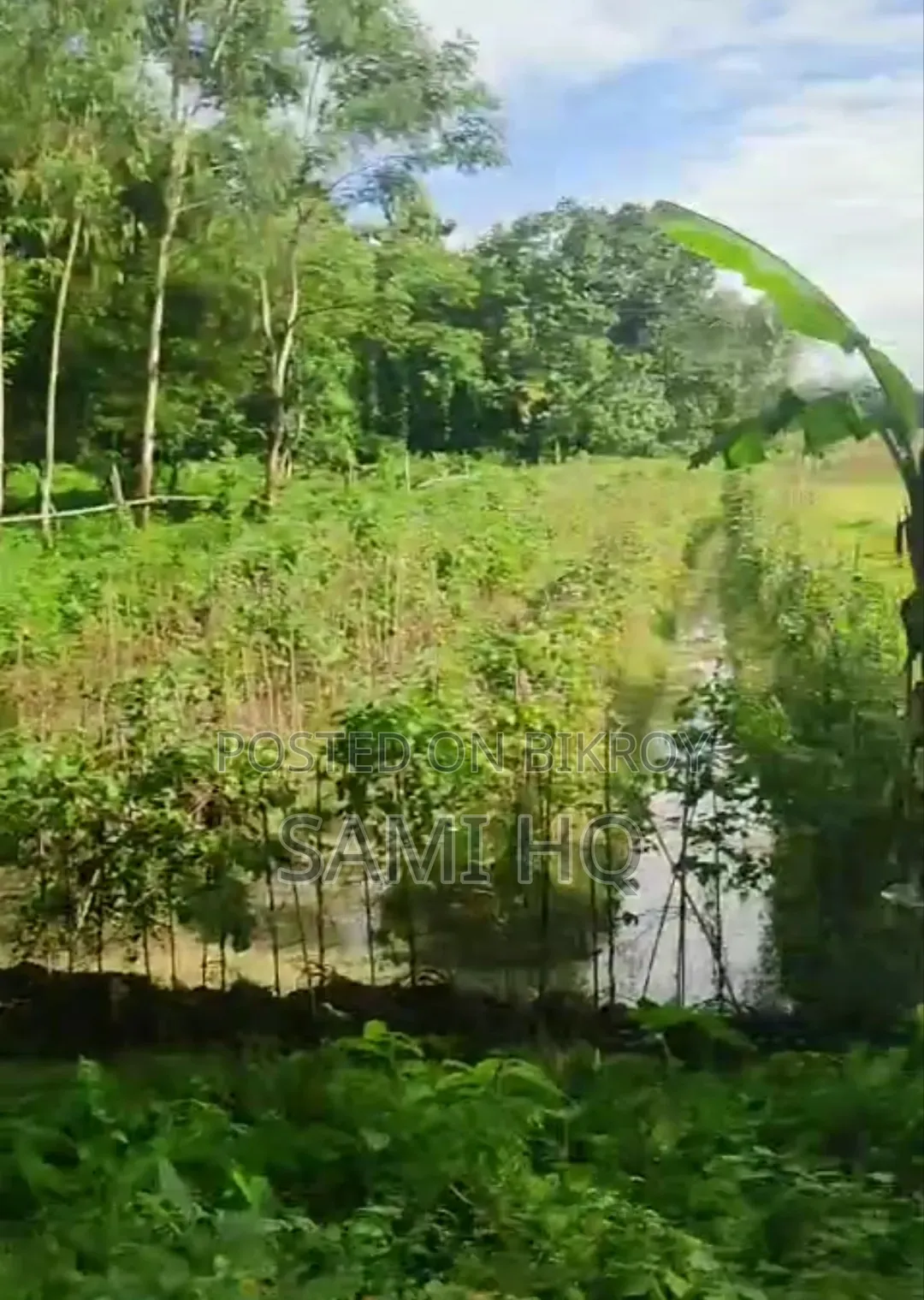 Land at Sitakunda