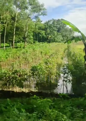 Land at Sitakunda