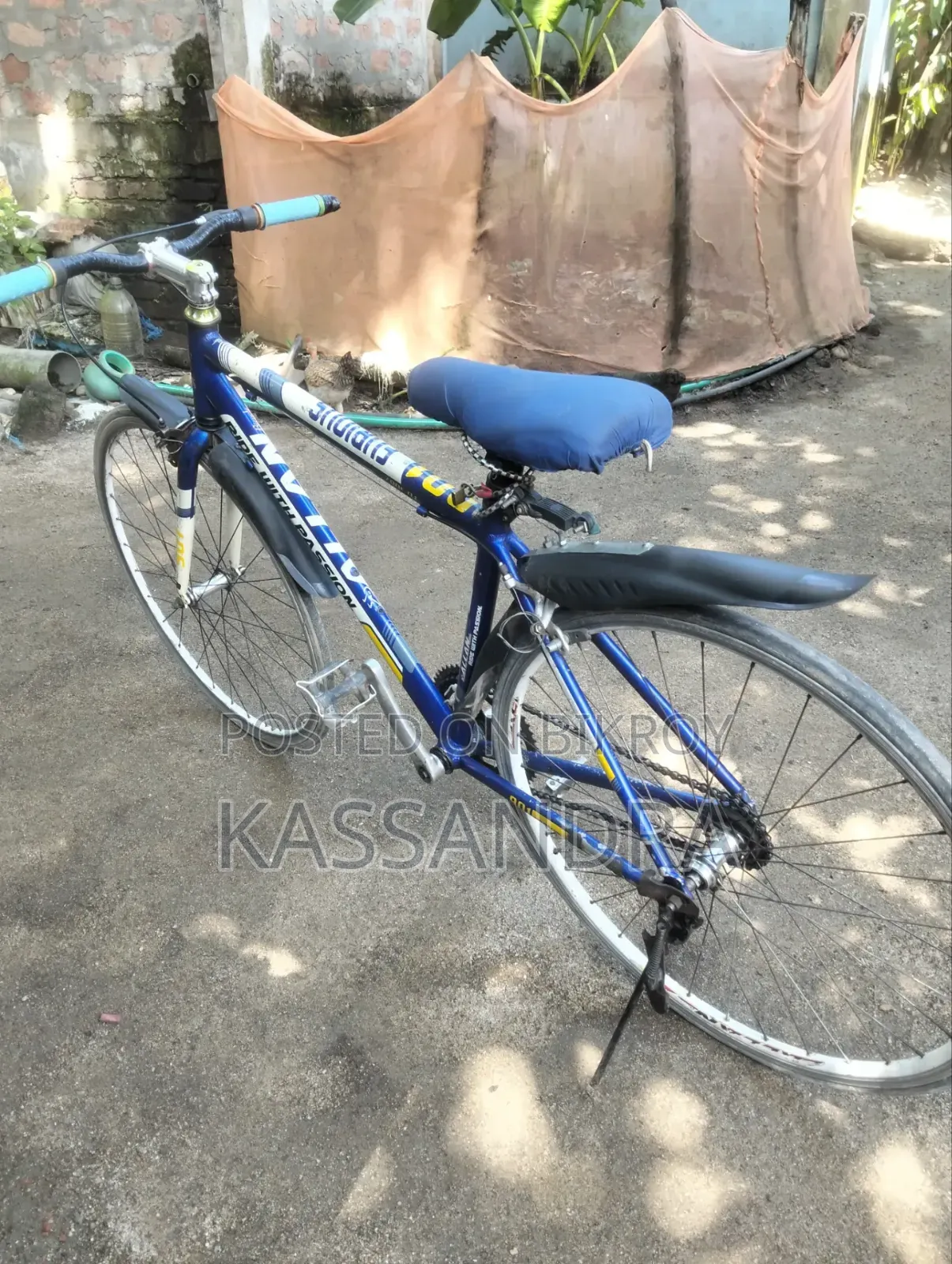 বাই সাইকেল