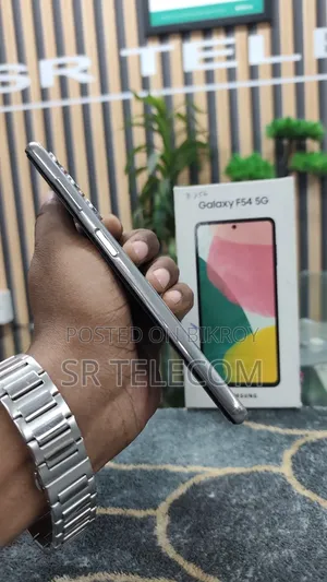Samsung Galaxy F54 256 GB Silver