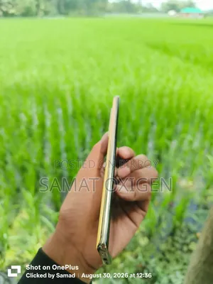 Infinix Note 40 Pro 256 GB Bronze