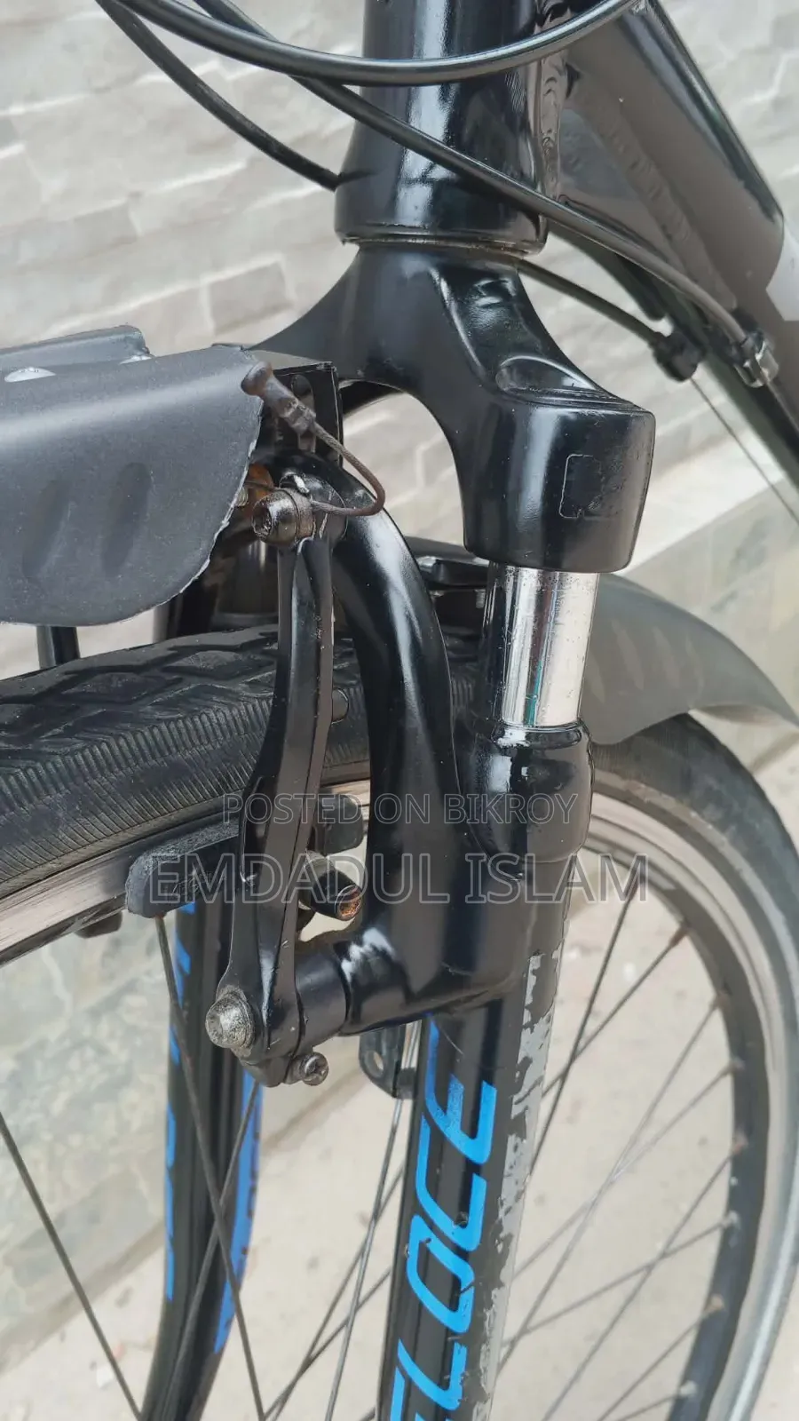 Velus Cycle