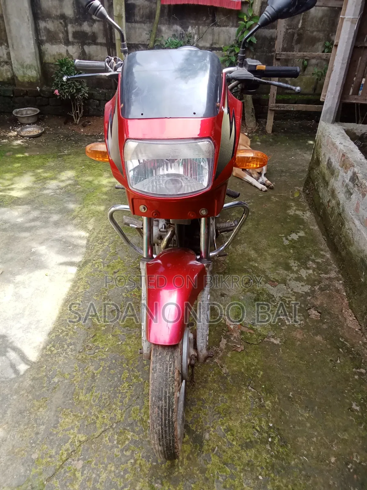 TVS 2003 Red