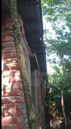 12 decimal land with house