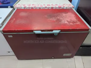Eco+ Red Colour Deep Freezer 350 Ltr.