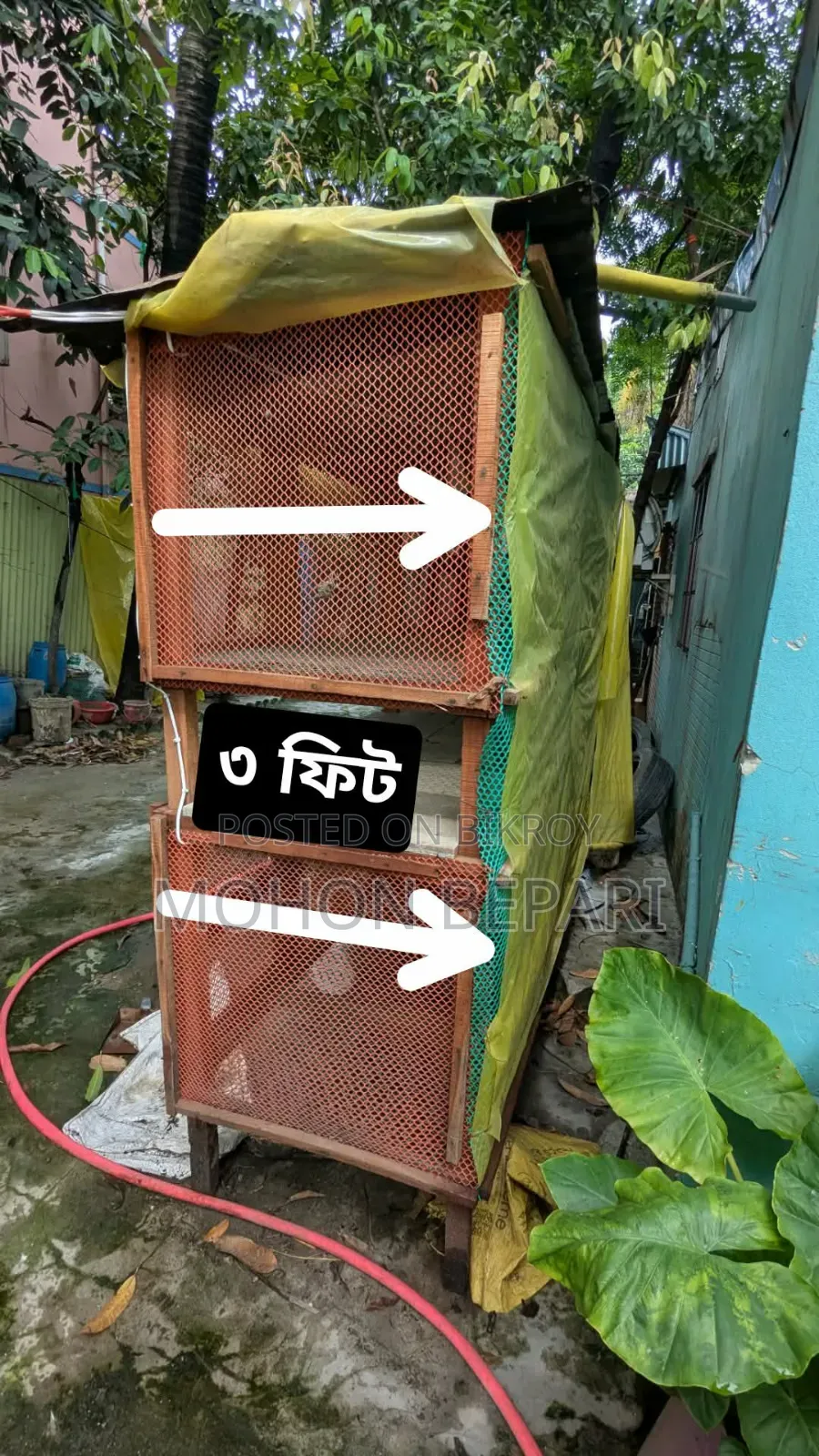 সেগুন কাঠের খাঁচা