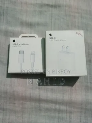 Apple Original Charger