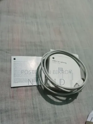 Apple Original Charger