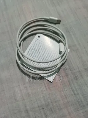 Apple Original Charger