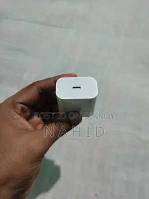 Apple Original Charger
