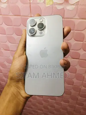 Apple iPhone 15 Pro Max 256 GB Silver