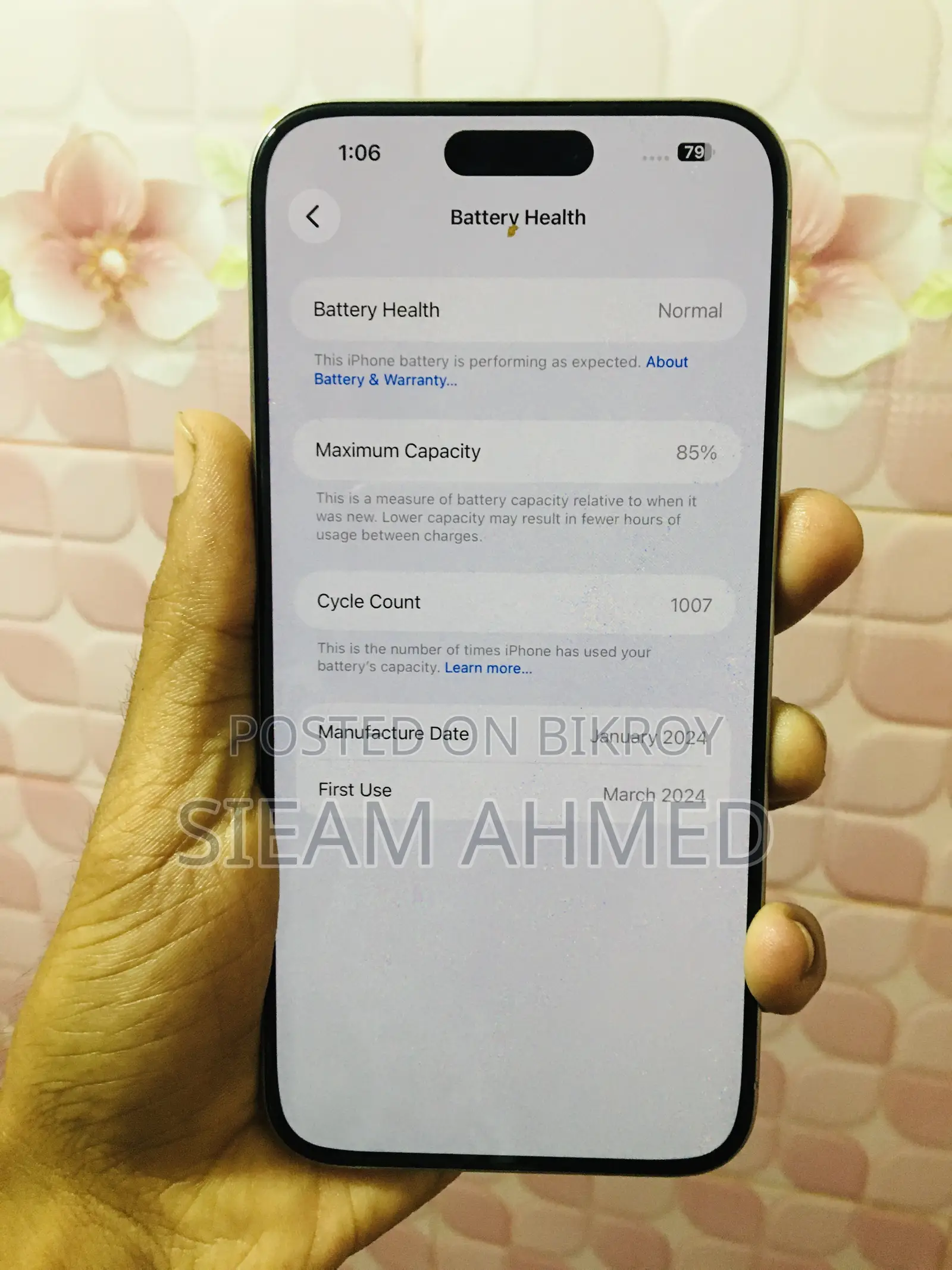 Apple iPhone 15 Pro Max 256 GB Silver